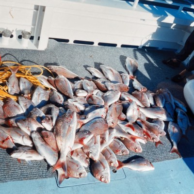 a cake made to look like a car