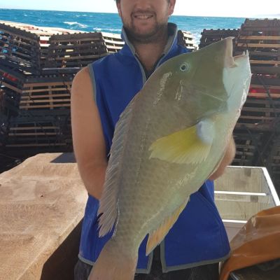 a person sitting on a chair